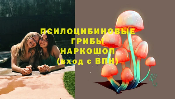 прущая мука Алзамай