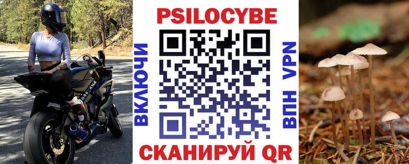 купить наркотик  Кумертау  Псилоцибиновые грибы Psilocybine cubensis 